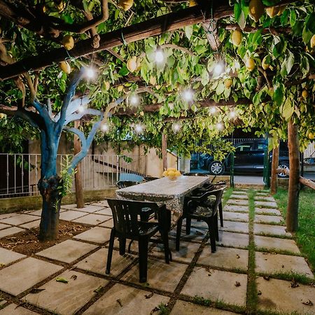 Il Giardino Dei Limoni Lägenhet Polvica Exteriör bild